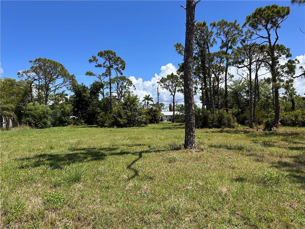 PINE ISLAND TROPICAL HOMESITES - Land