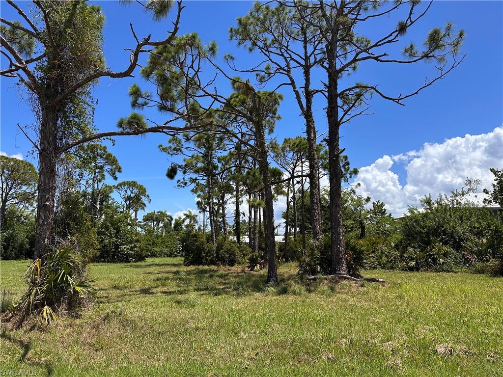 PINE ISLAND TROPICAL HOMESITES - Land