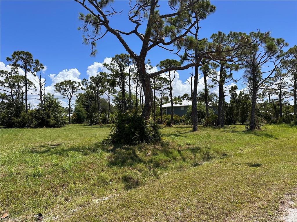 PINE ISLAND TROPICAL HOMESITES - Land