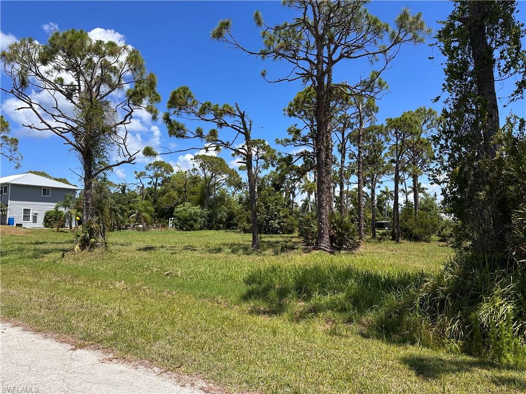 PINE ISLAND TROPICAL HOMESITES - Land