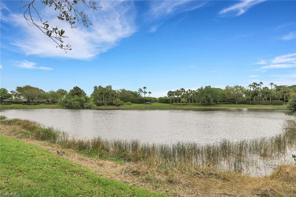 CYPRESS MARSH - Residential