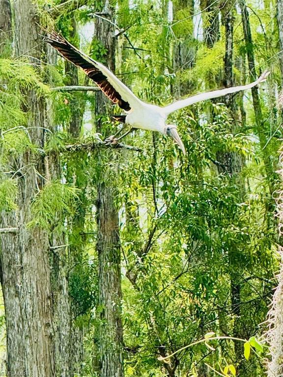 CAMARELLE - Residential