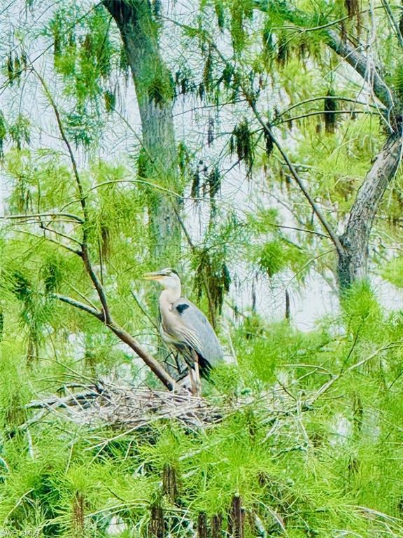 CAMARELLE - Residential