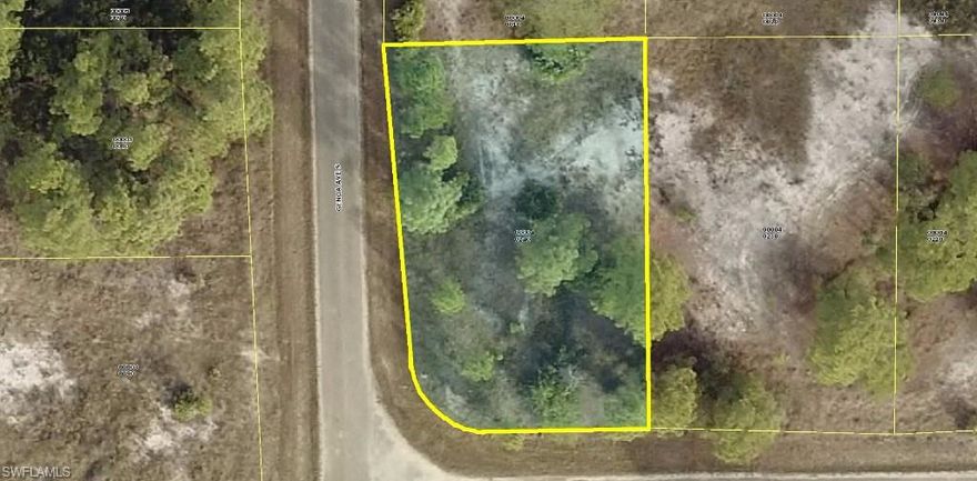 Really nice high and dry generous oversized corner homesite (width 90' x 134' deep +/- ... OVER 1/4 acre +) homesite in a very quiet area of LEHIGH ACRES. This property has a few mature pine trees, a few oaks, with minimal low secondary growth/grasses with an Eastern & Northern views at the rear of the home site with quick and easy access to State Road SR-82. Western and Southern views facing the street corners. Build your dream or vacation home now and/or save this special area oversize home-site for later. Don't miss this unique opportunity to purchase this lot for only $6,995 with SELLER DIRECT FINANCING with $0 (ZERO) down, no credit, job or income verification for ONLY $97.00 per month payment. Personal checks OK. Call today... you'll be glad so glad you did...