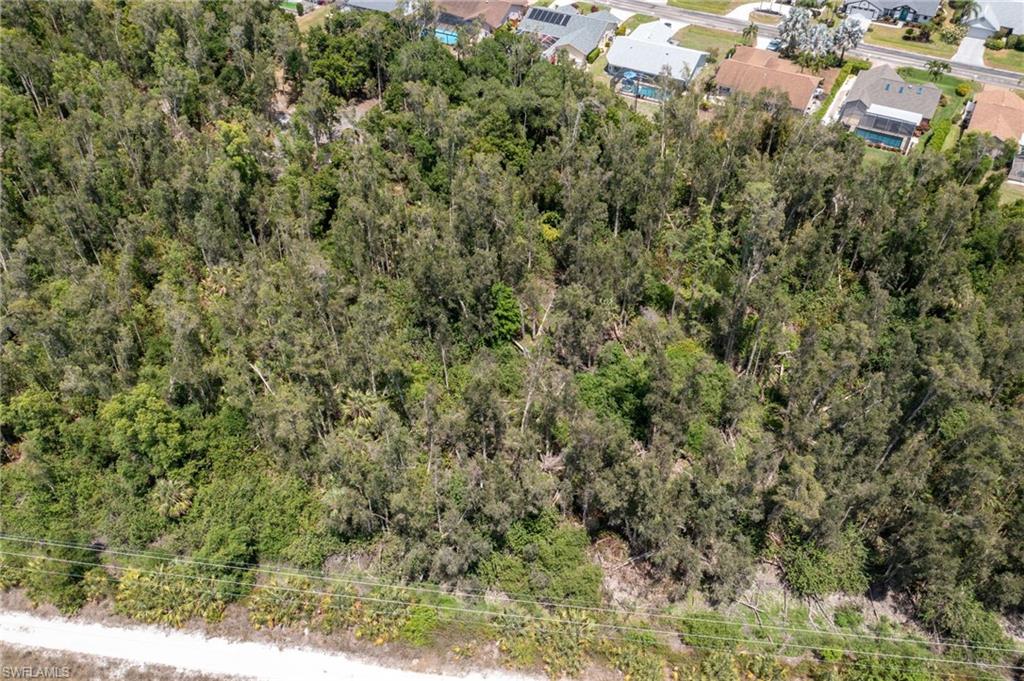 ESTERO SPRINGS - Land