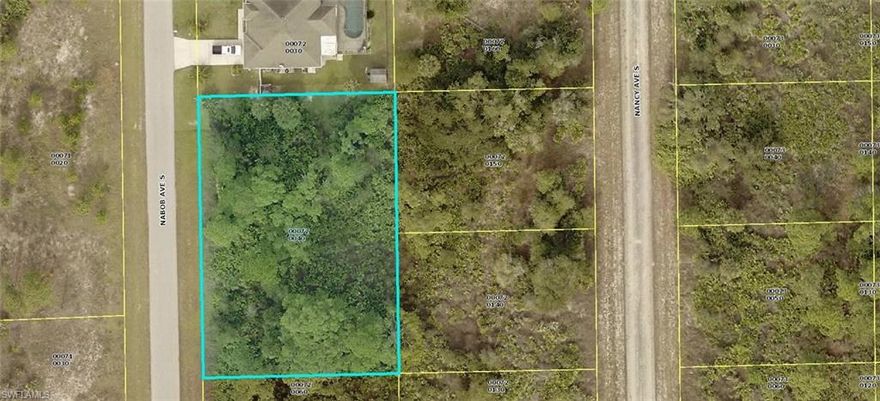 Beautiful  1/2 ACRE  LOT  Purchase One lot $15,000 or Both for Only $24,000 !!. in Lehigh Acres, zoned for a single-family residential. Great opportunity to own your own piece of paradise in South West Florida, while prices still affordable. Lehigh is a community East of Fort Myers, the home Spring training for BOSTON RED SOX and MILWAUKEE TWINS. Multiple shopping malls and outlets World-class dining.