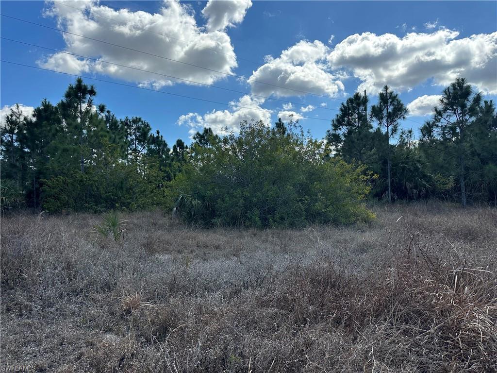 GOLDEN GATE ESTATES - Land