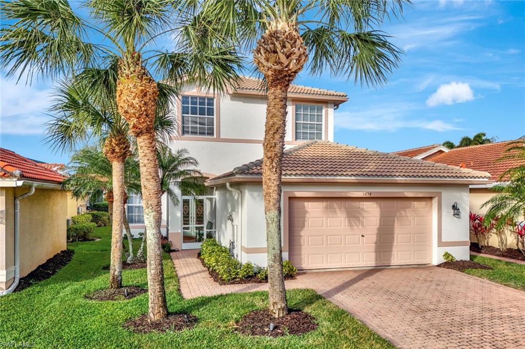 1614 Triangle Palm TER