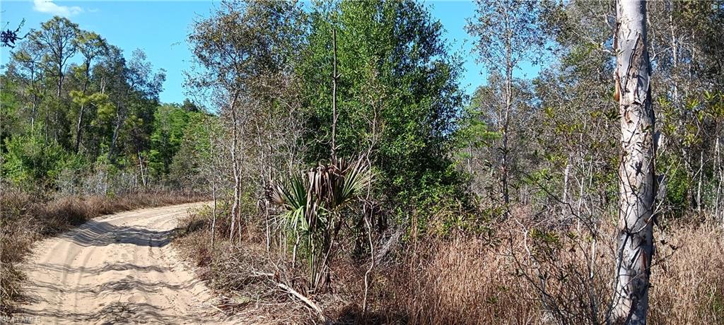 TIMBER TRAILS - Land