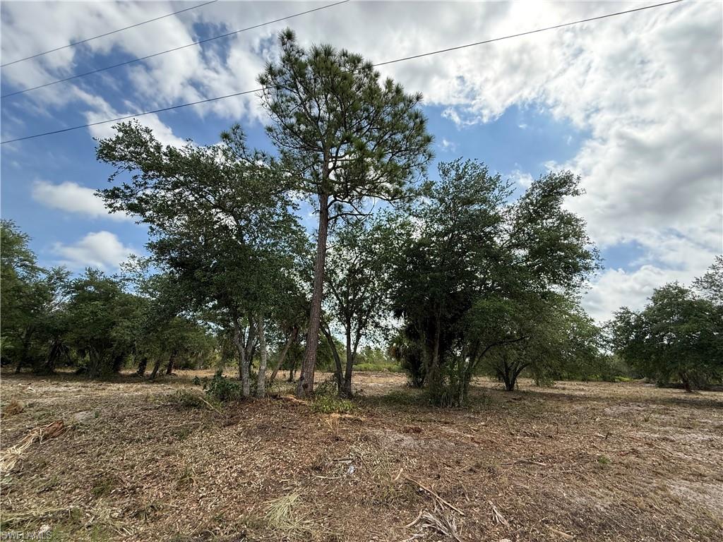 MONTURA RANCH ESTATES - Land