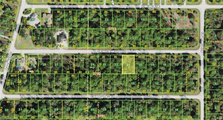 Build your dream home or buy it as an investment. Great tranquil location yet close to everything. Only 8 miles to the beach! No Scrub Jays per Charlotte County Website. No CDDs, NO HOA and no deed restrictions.