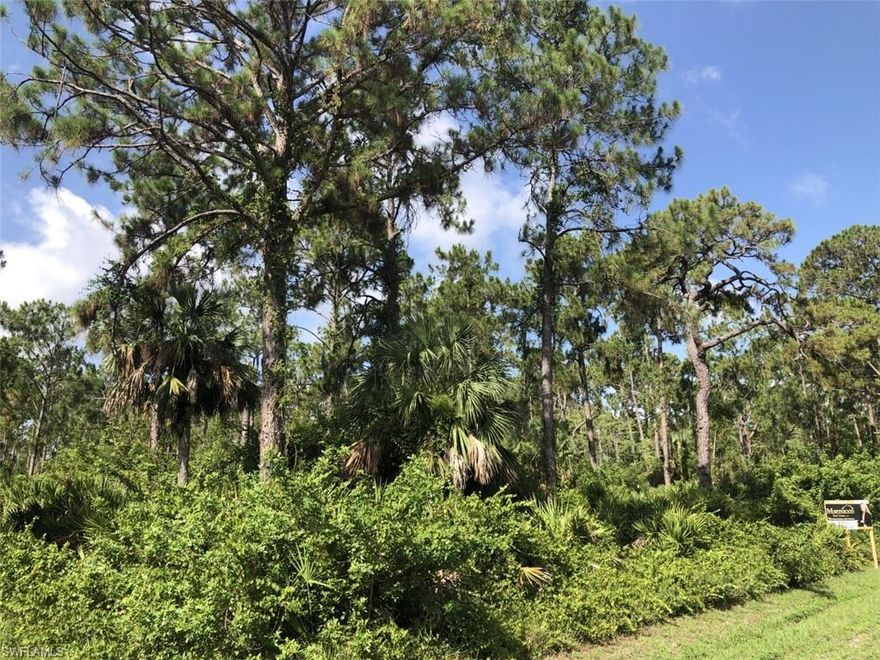 Check out this Beautiful 2.29 Acre Lot! Close to town on Golden Gate Blvd. You don't want to miss this dream location.