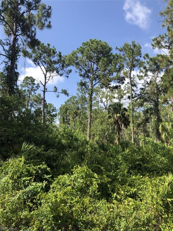 GOLDEN GATE ESTATES - Land