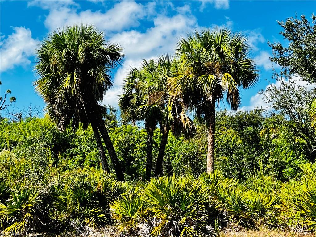 ROTONDA SANDS - Land