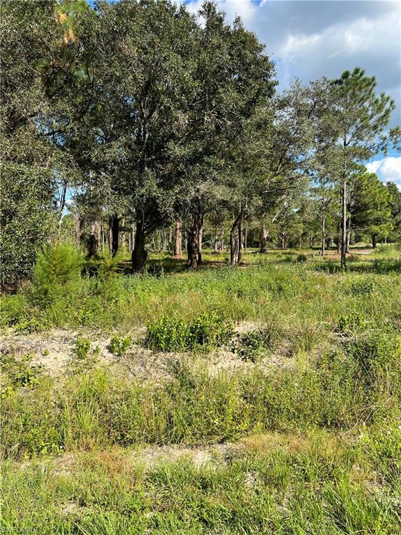 MONTURA RANCH ESTATES - Land