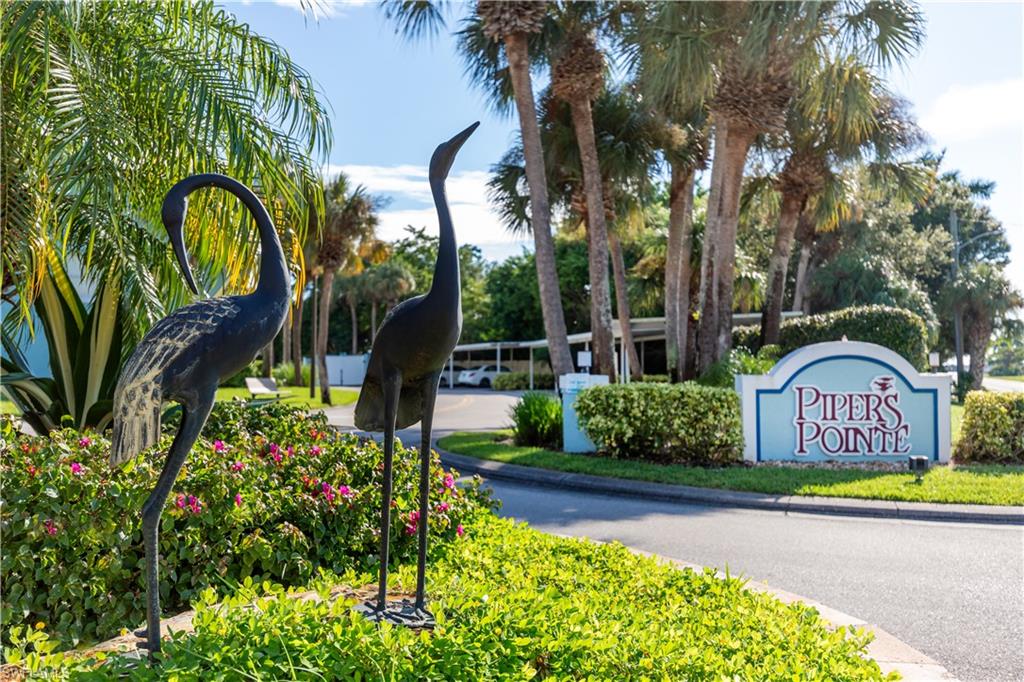 137 Wading Bird CIR F101
