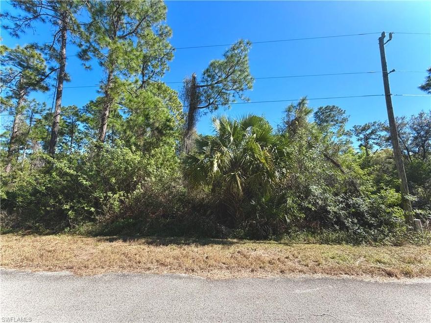 GREAT LOCATION on a HALF ACRE located on a quiet paved street with utilities available just minutes from major amenities, and a quick commute in Fort Myers. Come build your DREAM HOME or INVEST today!