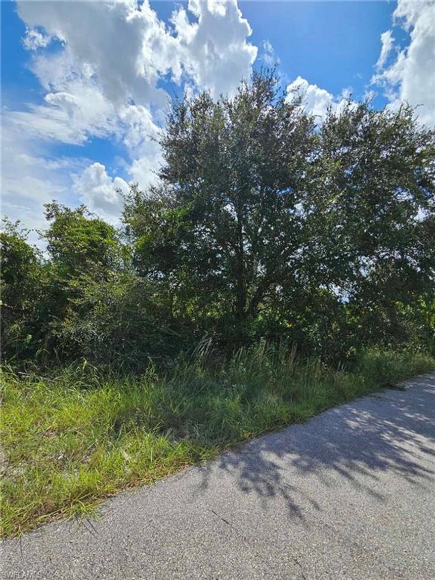 Build to suit on this vacant land located on a dead end street! Getting electricity set up will be a breeze as there are houses on the street. Lehigh Acres is growing, now is the time to own a piece and build your dream home.