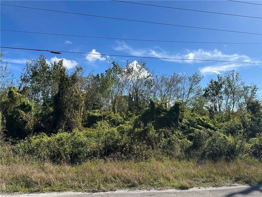 Vacant residential lot in Lehigh Acres located at 943 Joponica Ave. Quiet area with nearby homes and new construction. No HOA. Convenient access to shopping, dining, schools, Fort Myers, SWFL beaches, and RSW Airport. Ideal for building or investment.