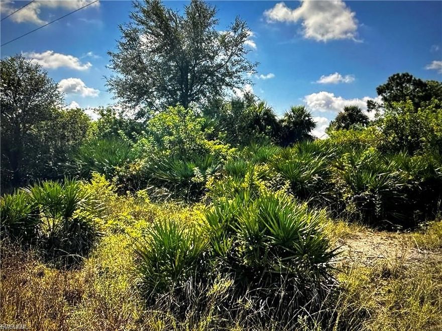 Great Location !!1.25 ACRES TO BUILD ON IN A VERY POPULAR AREA OF NEW HOMES WITH ACREAGE!  Animals allowed. Close to Alba boat ramp. Surrounded by nature. Plenty of room for your dream home, outbuildings, pool and more ,which allows easy access to Fort Myers/Naples/Cape Coral. Only 15+/- miles from I-75. Don't miss this opportunity to own a piece of Florida's natural beauty!