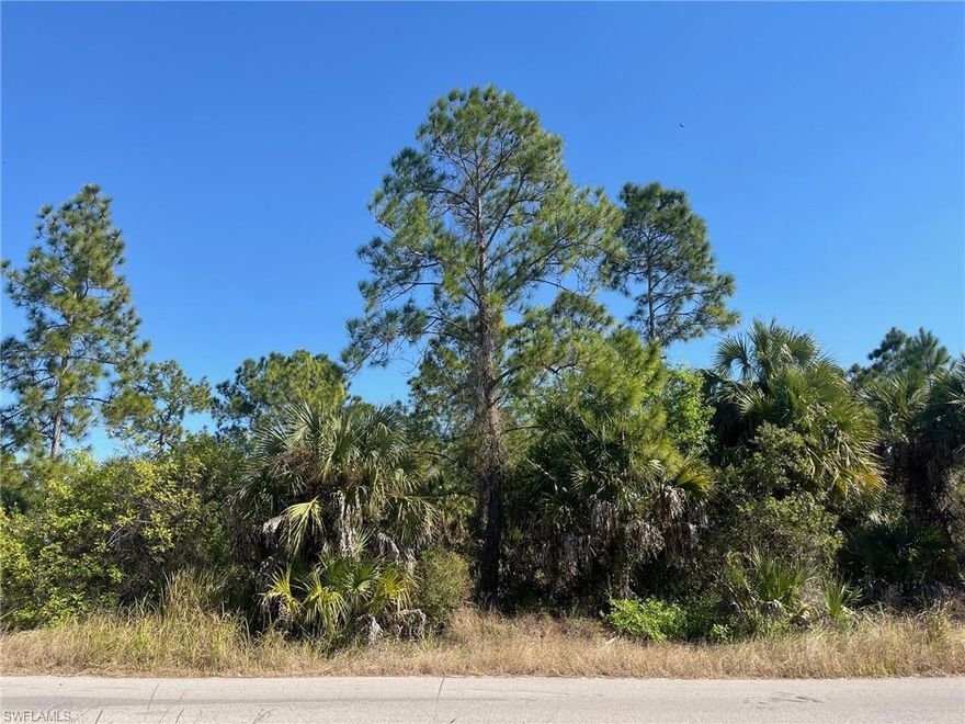 4.9 acres of nice land in North Belle Meade. No wetland information available but looks high and dry with many beautiful pines & palms. Adjacent 4.9 acres also available ML #226003009).