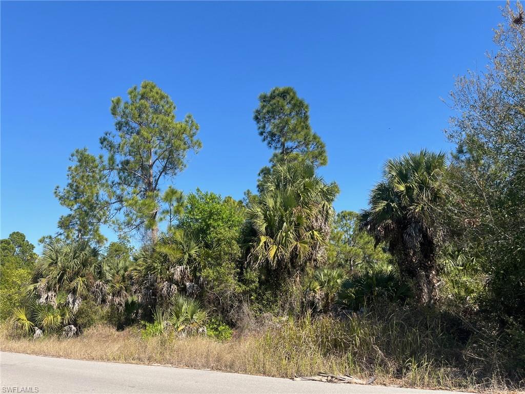 NORTH BELLE MEADE - Land