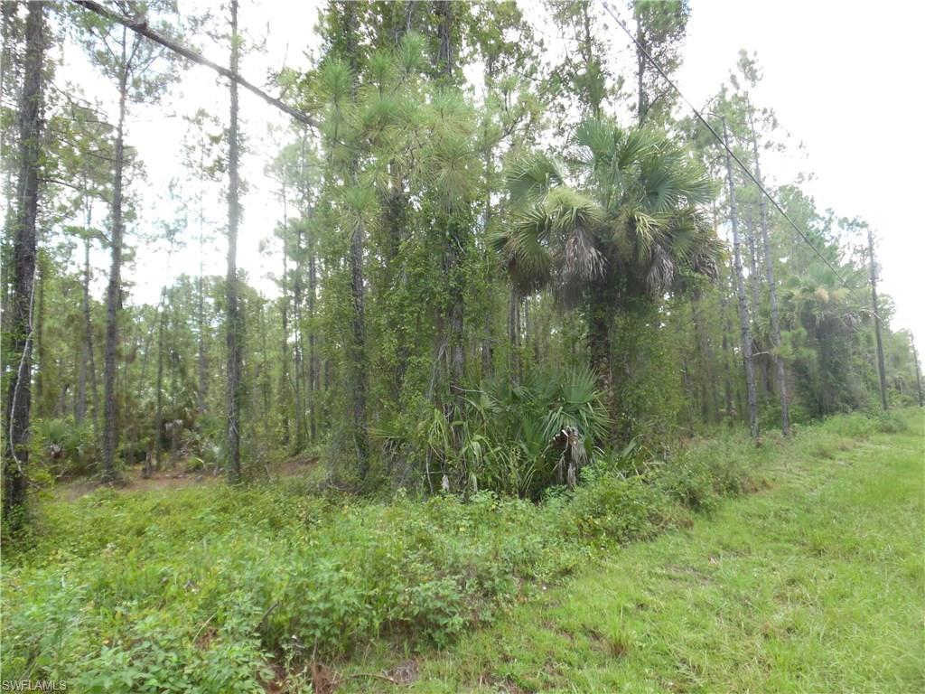 GOLDEN GATE ESTATES - Land