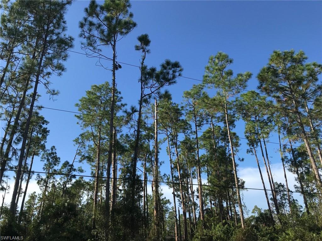 GOLDEN GATE ESTATES - Land