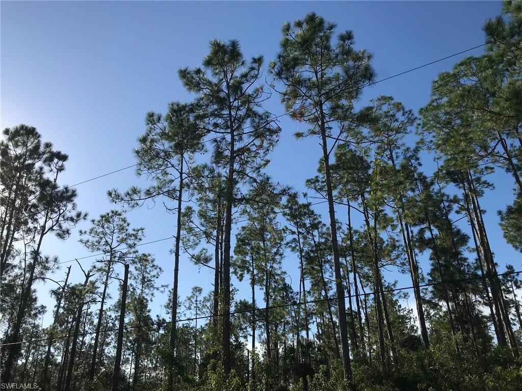 GOLDEN GATE ESTATES - Land