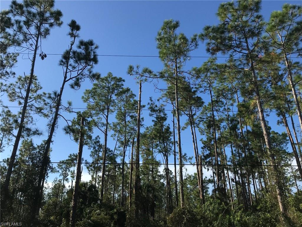 GOLDEN GATE ESTATES - Land