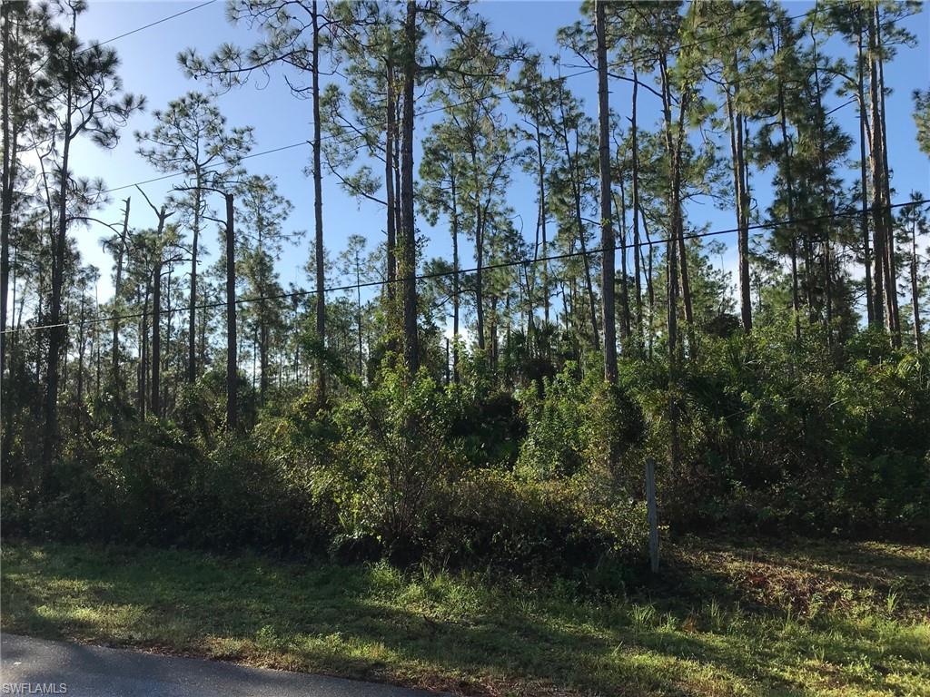 GOLDEN GATE ESTATES - Land