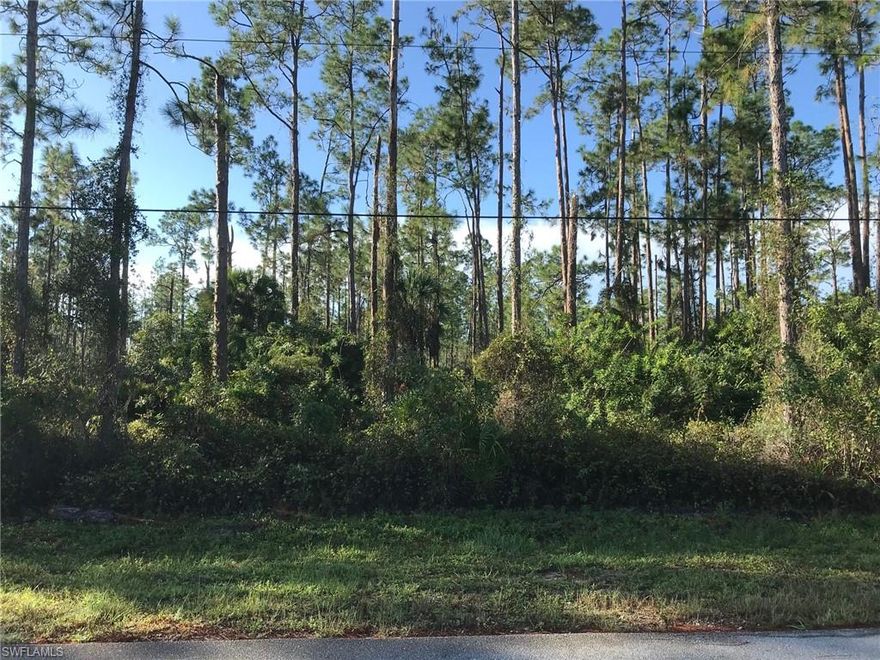 Uplands 100% per the 2022 TEC Wetland Determination attached. Enjoy the peaceful, country lifestyle of Golden Gate Estates, just minutes from the splendor and beautiful beaches of Naples, Florida. Build the home of your dreams on this wonderful 1.14 acre lot with beautiful tall pines. Zoning allows 2 horses per acre. Location very convenient to shopping, schools and the fabulous new Big Corkscrew Island Regional Park.