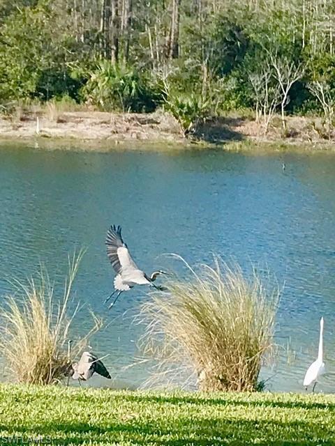 CYPRESS POINTE - Residential