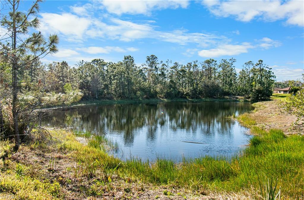 REFLECTION ISLES - Residential