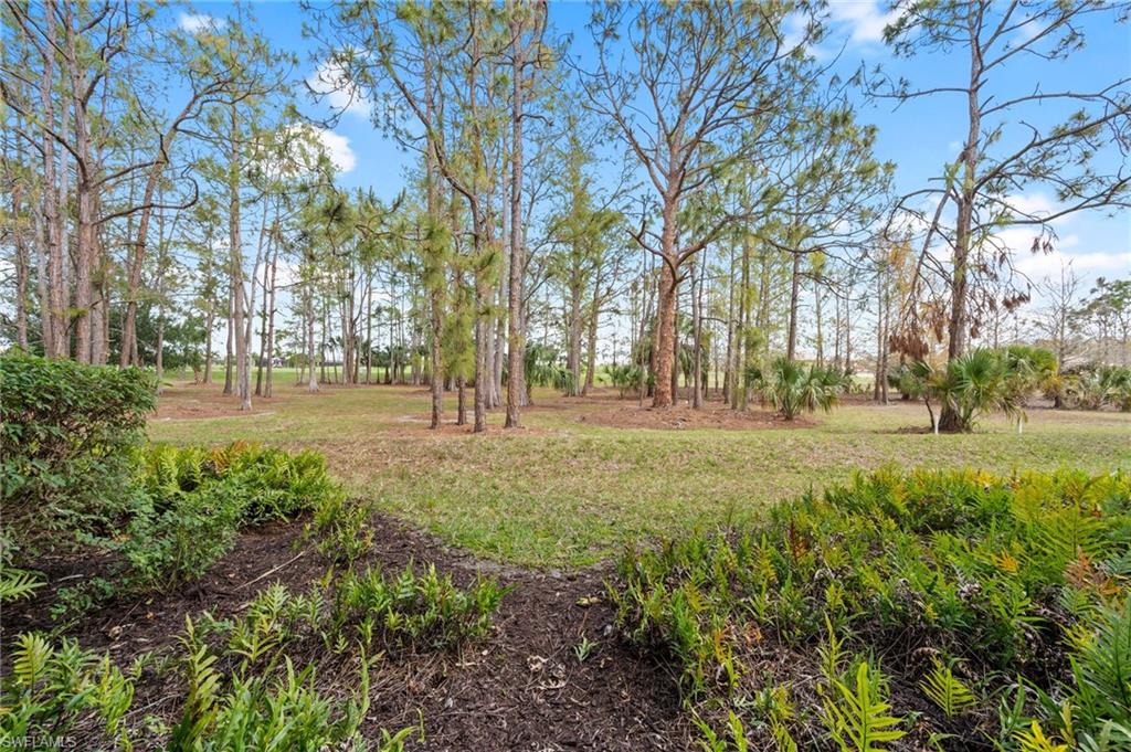 PALAZZO - Residential