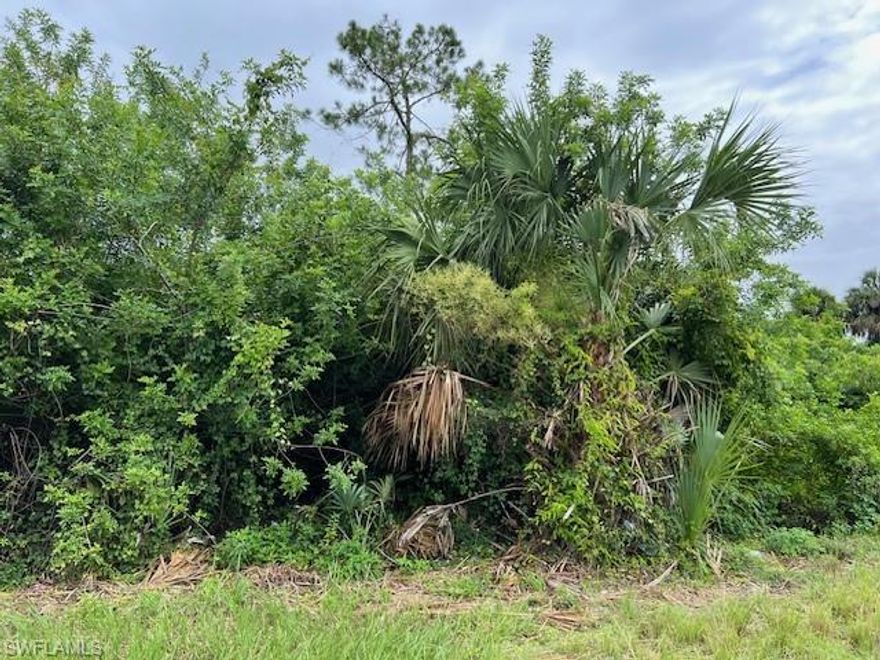 Build your Dream Home on over 1/4 acre !!Fantastic oversized building lot in growing area!! Lots of new construction all around!! Convenient to Fort Myers, Naples, Alva or LaBelle! Not in a flood zone!! Excellent opportunity for builders, investors, and those wishing to build affordably in a growing area with the opportunity to gain much value! Make your offer today!