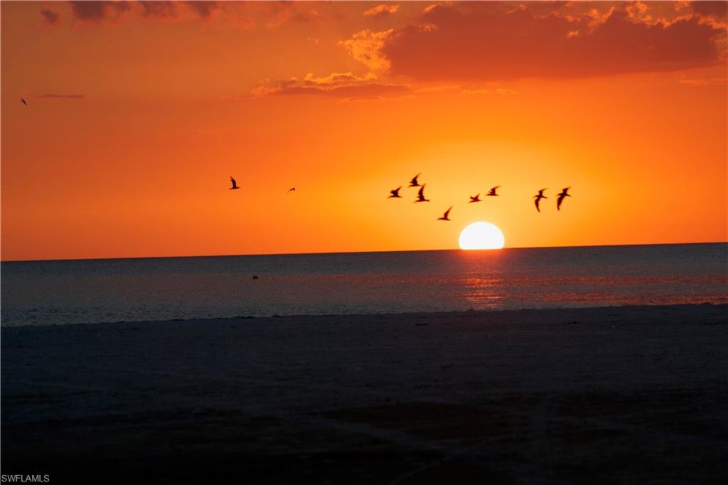 ISLAND REEF CONDO - Residential