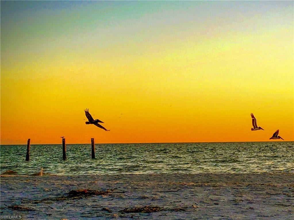 ISLAND REEF CONDO - Residential