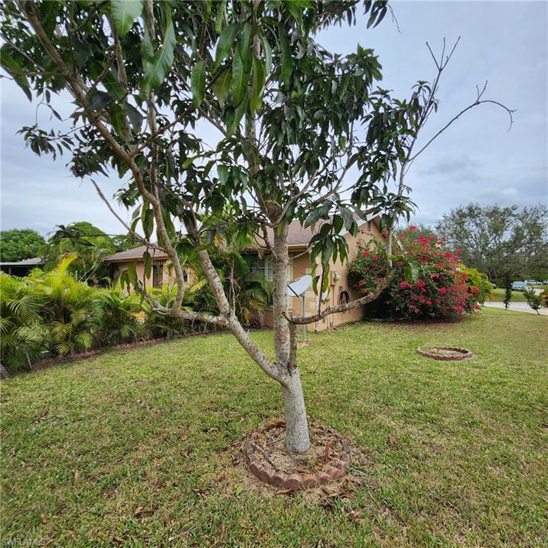 HOLIDAY PARK - Residential