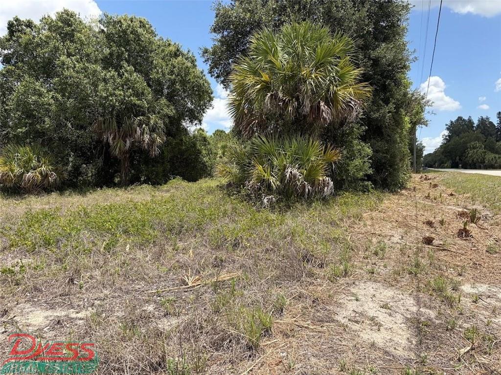 PIONEER PLANTATION - Land