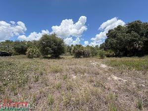 PIONEER PLANTATION - Land