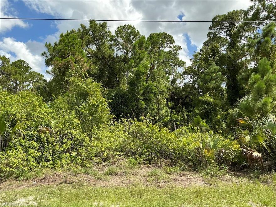 Situated in the heart of Lehigh Acres, this residential lot measures 80 by 150 feet. Located outside the flood zone, with no wetlands or protected species on site, this lot is shovel-ready and primed for development. Lot for sale in this growing neighborhood of Lehigh Acres. Easy access to Sr. 82, Daniels Pkwy, Fort Myers Air Port, Edison Ford Museum, shopping, restaurants, schools, and the beaches of Fort Myers. Build an income-producing property