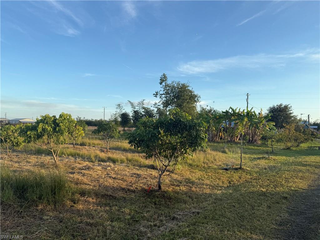 GERBER GROVES SEC 1 - Land
