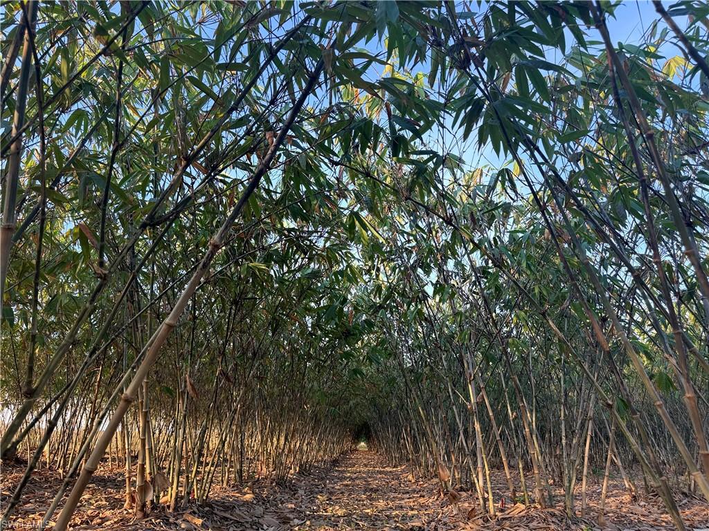 GERBER GROVES SEC 1 - Land
