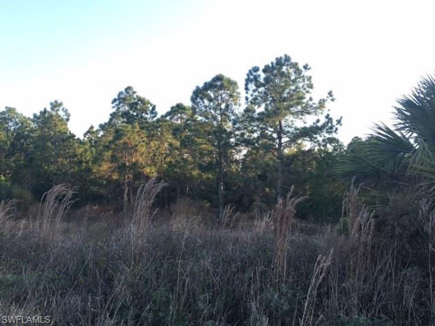Build your dream home on this beautiful Golden Gate Estates lot. Unique to many other available lots, this 2.27 acre parcel is mostly cleared, which will significantly reduce building costs. Enjoy the quiet, country lifestyle and still be minutes from shops and dining. It is recommended that any potential Buyers should have their own environmental studies conducted.