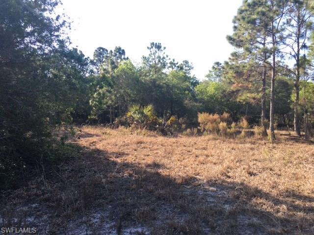 GOLDEN GATE ESTATES - Land