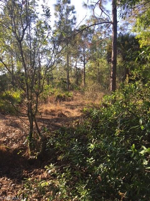 GOLDEN GATE ESTATES - Land