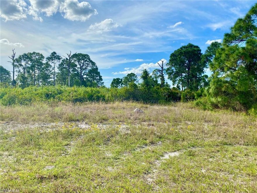 Located on the Southeast of Lehigh Acres off of Nimitz Blvd. just off of 82! A great home site at a great price with amazing potential. The home site is approximately 80’ wide by 125’ deep on Kyle Avenue for a nice 0.23-acre tract lot. A great and convenient location. It is just about 20 minutes from Fort Myers. The lot will need some bush-hogging but features some lovely trees—a wonderful place for a family or those just settling down and enjoying the Florida sunshine.