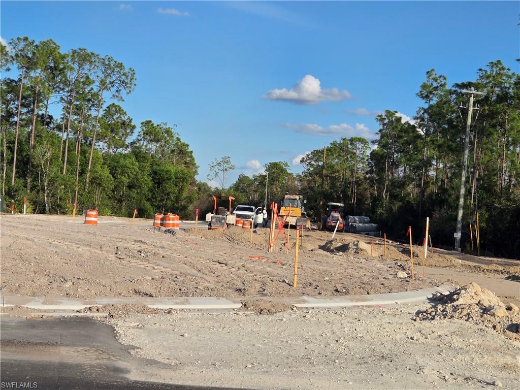 BONITA SPRINGS - Residential