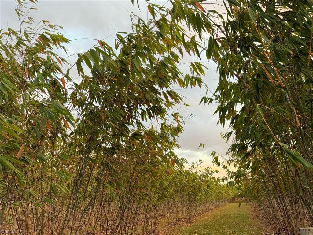 GERBER GROVES SEC 1 - Land